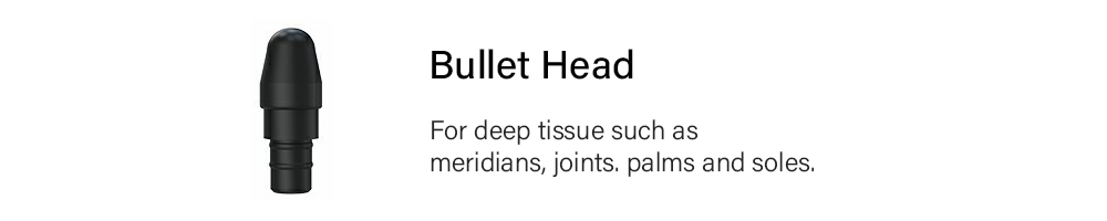 Bullet head